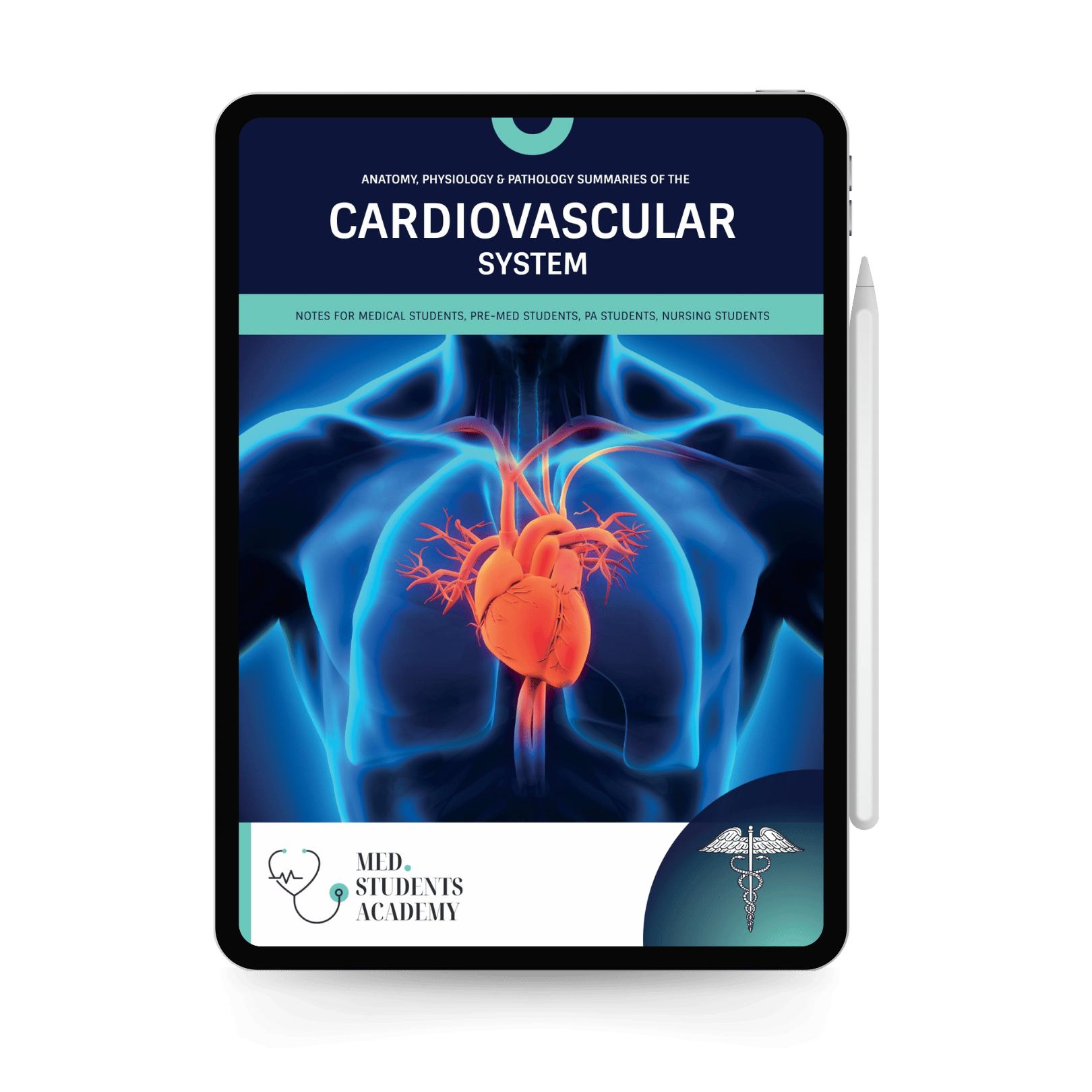 The Ultimate Med Study Bundle (21 Guides)