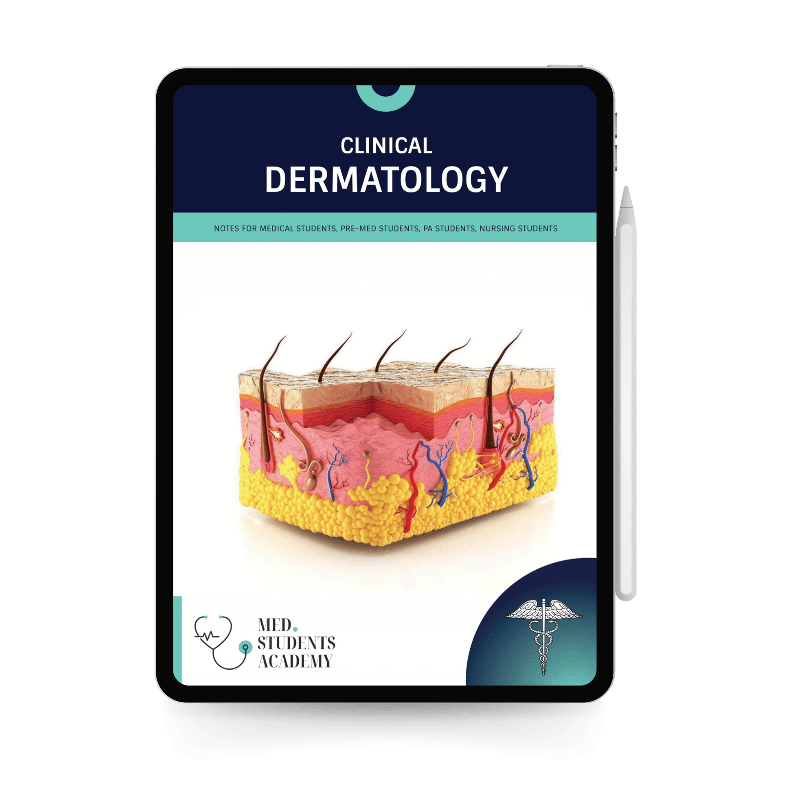 The Ultimate Med Study Bundle (21 Guides)