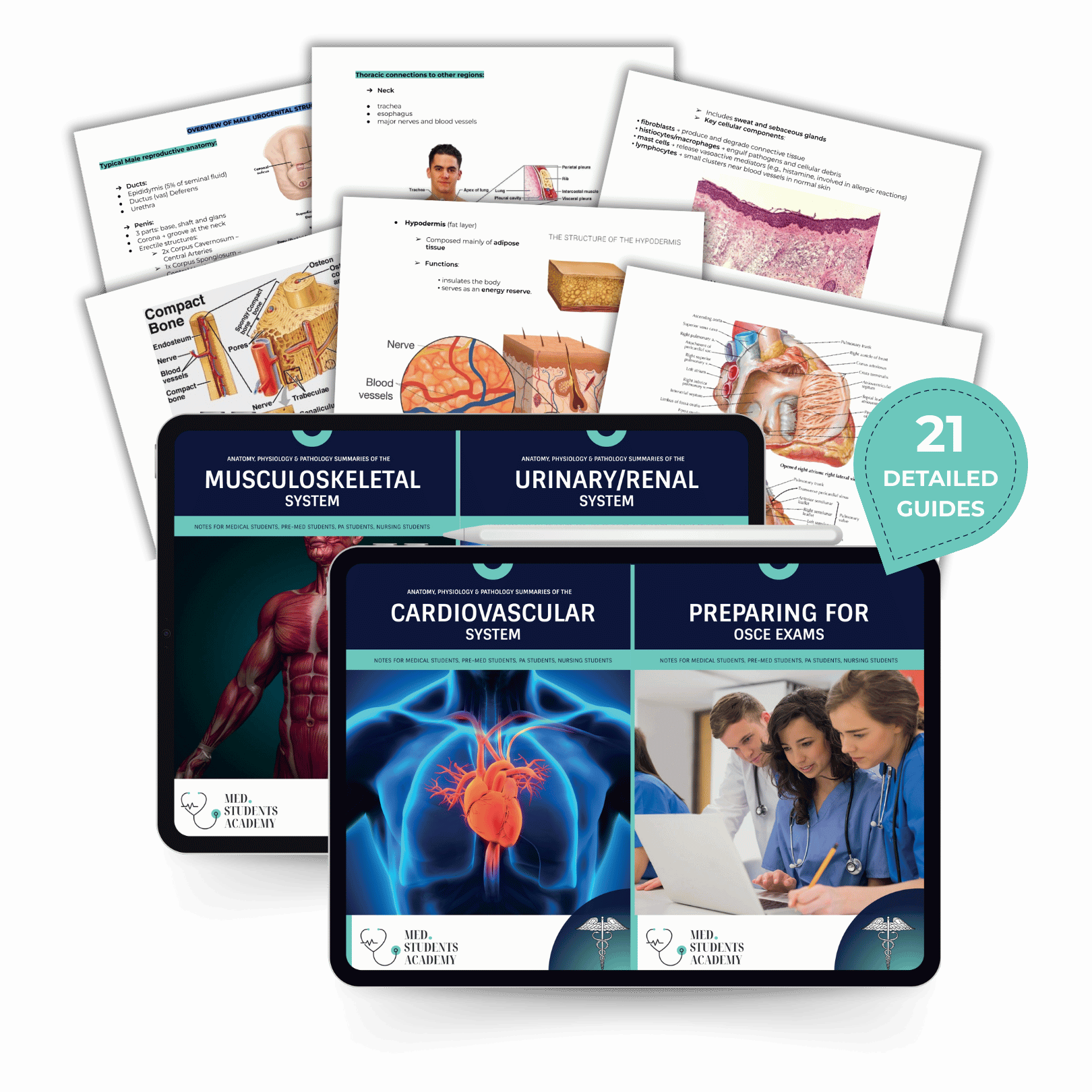 21 Detailed Guides.png__PID:ad97ce66-a61a-4a87-a352-7b44b357b9e3