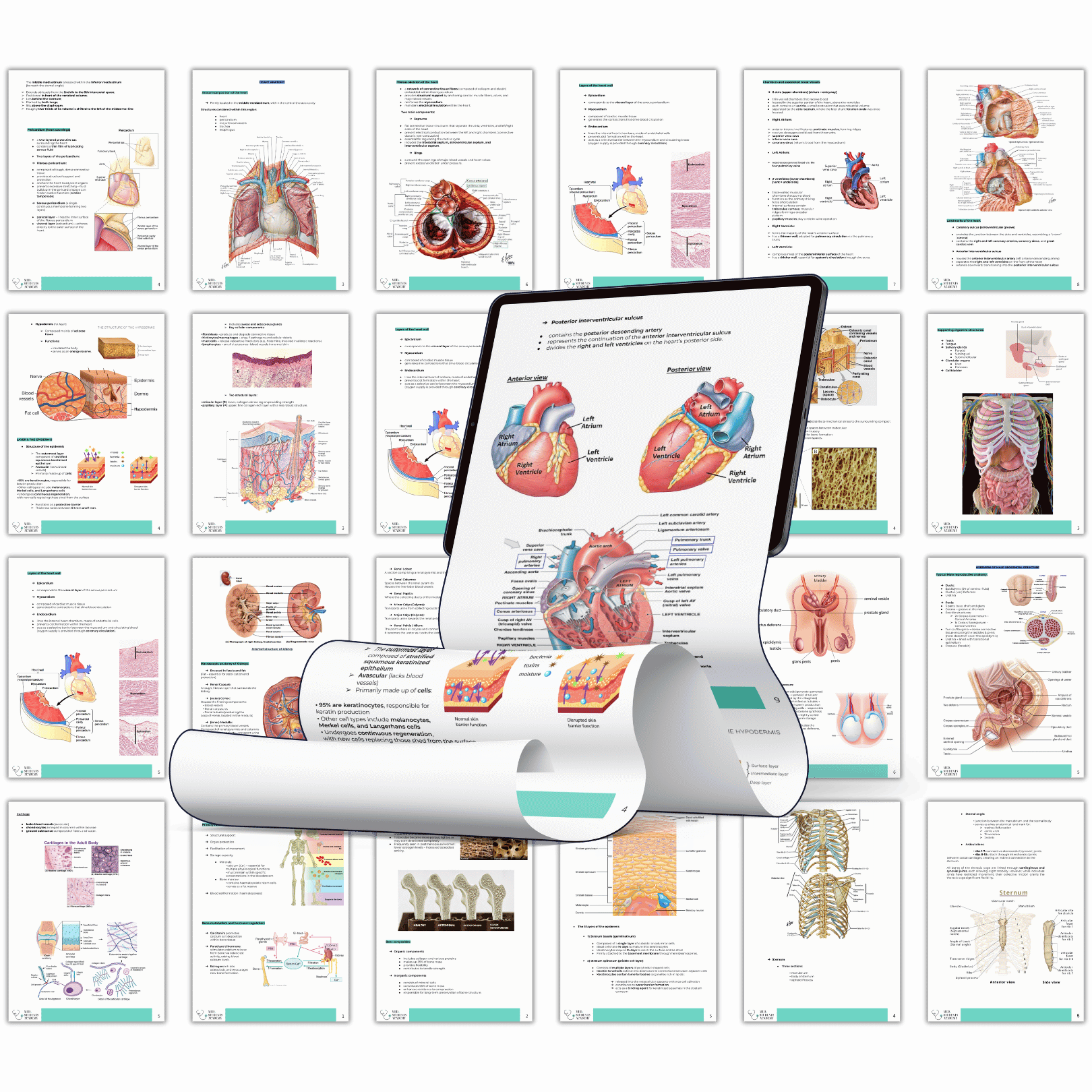 4000+ Pages.png__PID:3469e874-6e77-4e0c-8dee-8d0993619393