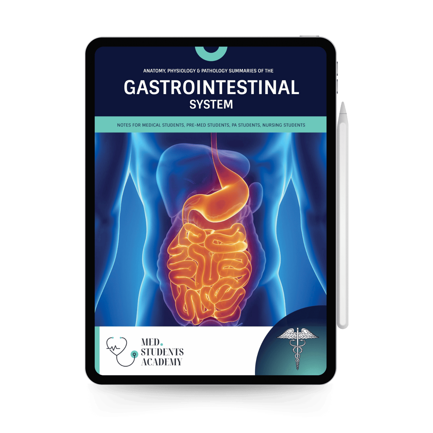 Gastrointestinal System
